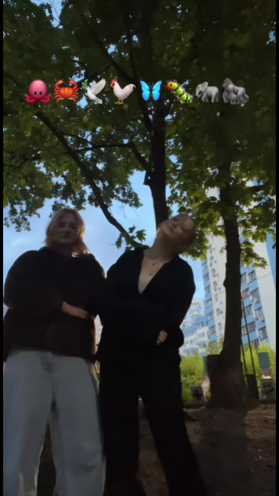 @вишенка на торте