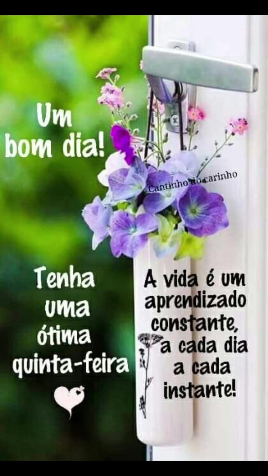 @Opoetabeijaflor