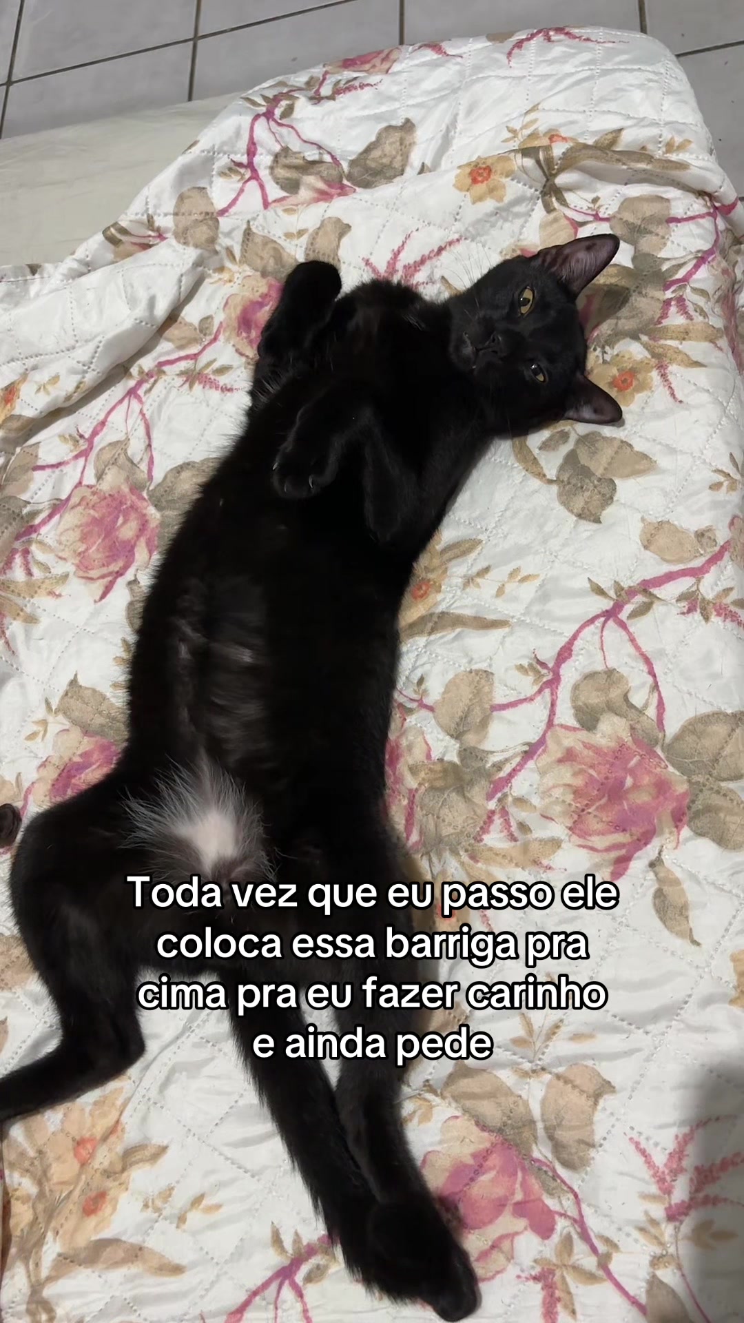 @Jéssica Teixeira