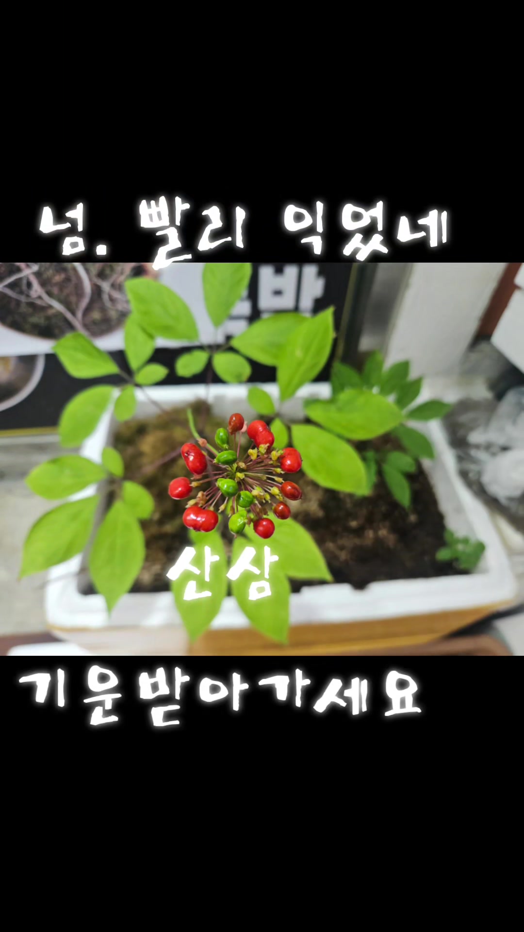 @๐ฆ๋ฐ๋ฉด ๋ง๋๋ฆฌ๋ค๐ฆ