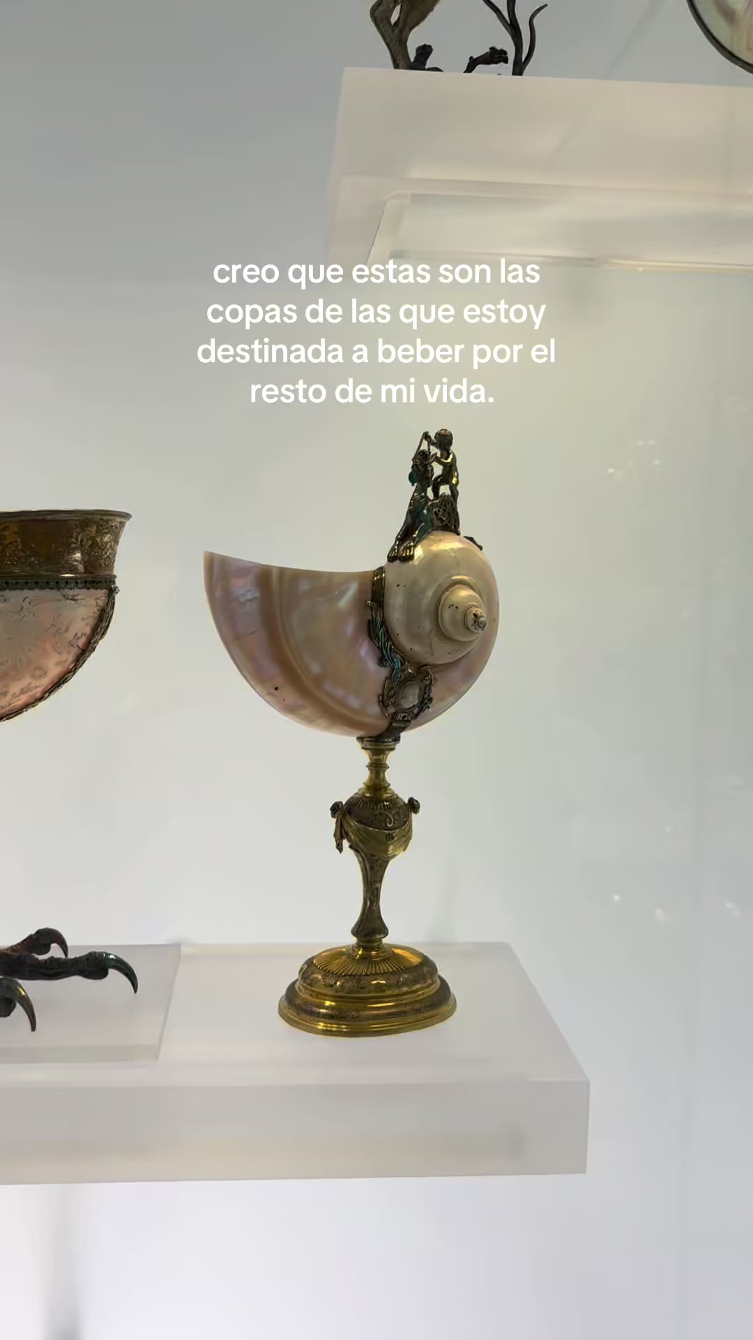 @abrilonchis