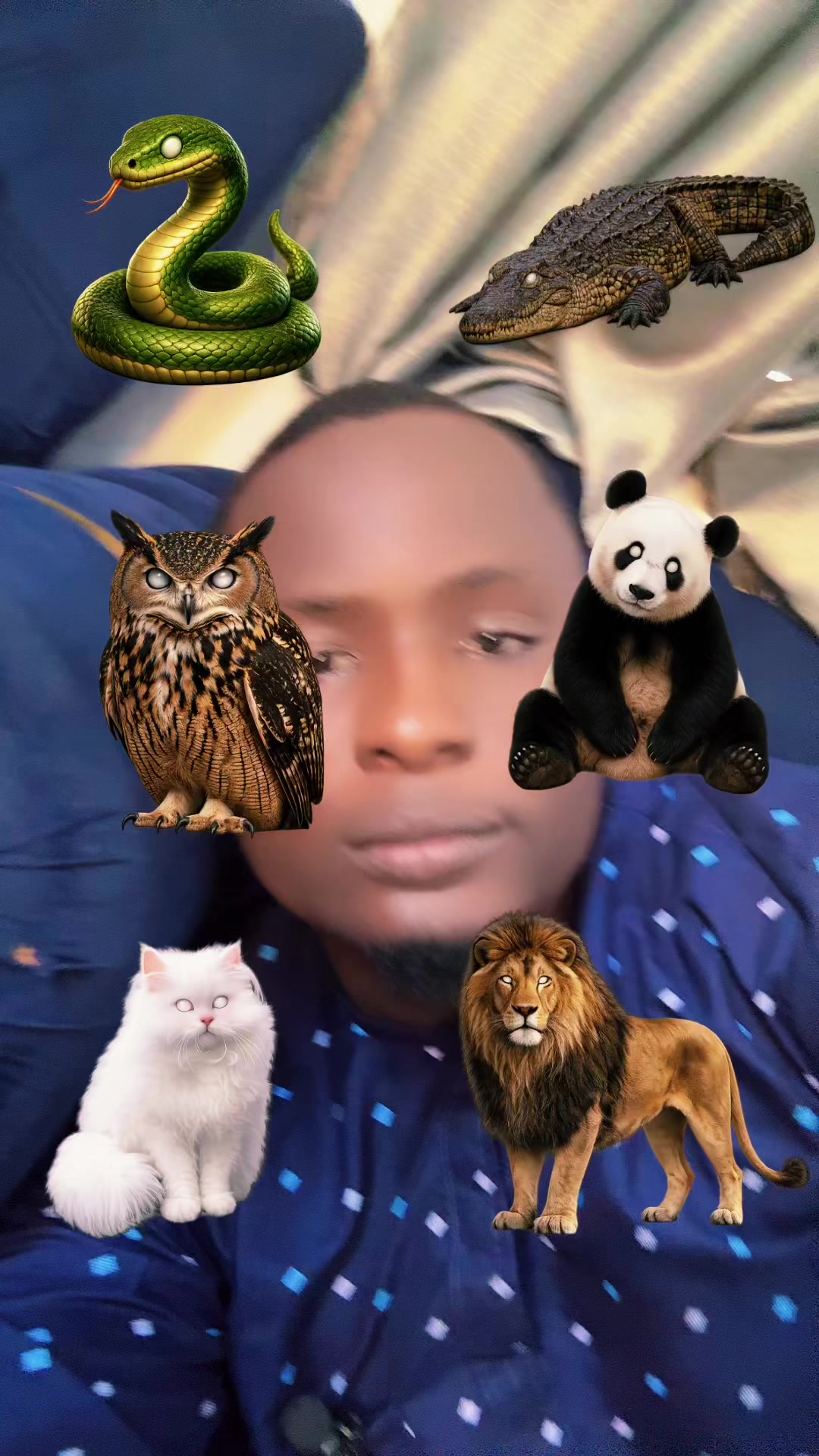 @ali_tallafi