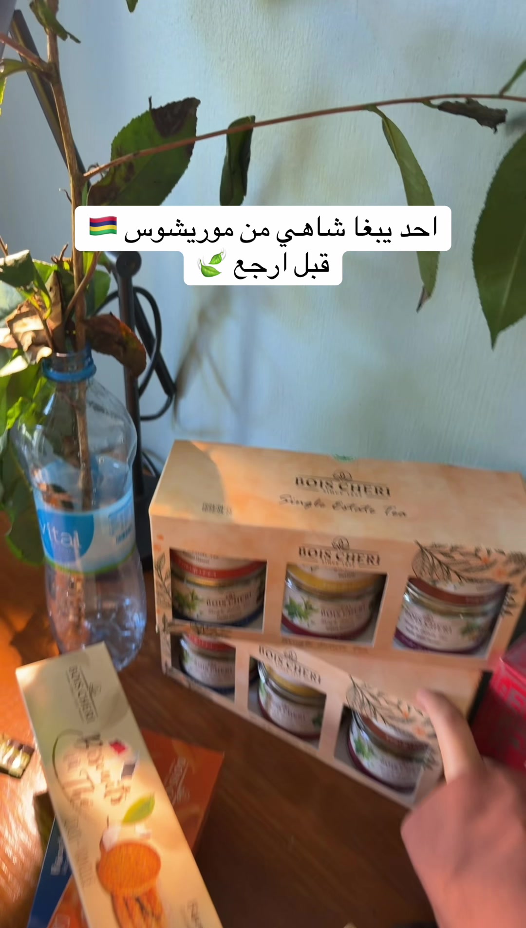 @نجمة زهران💫