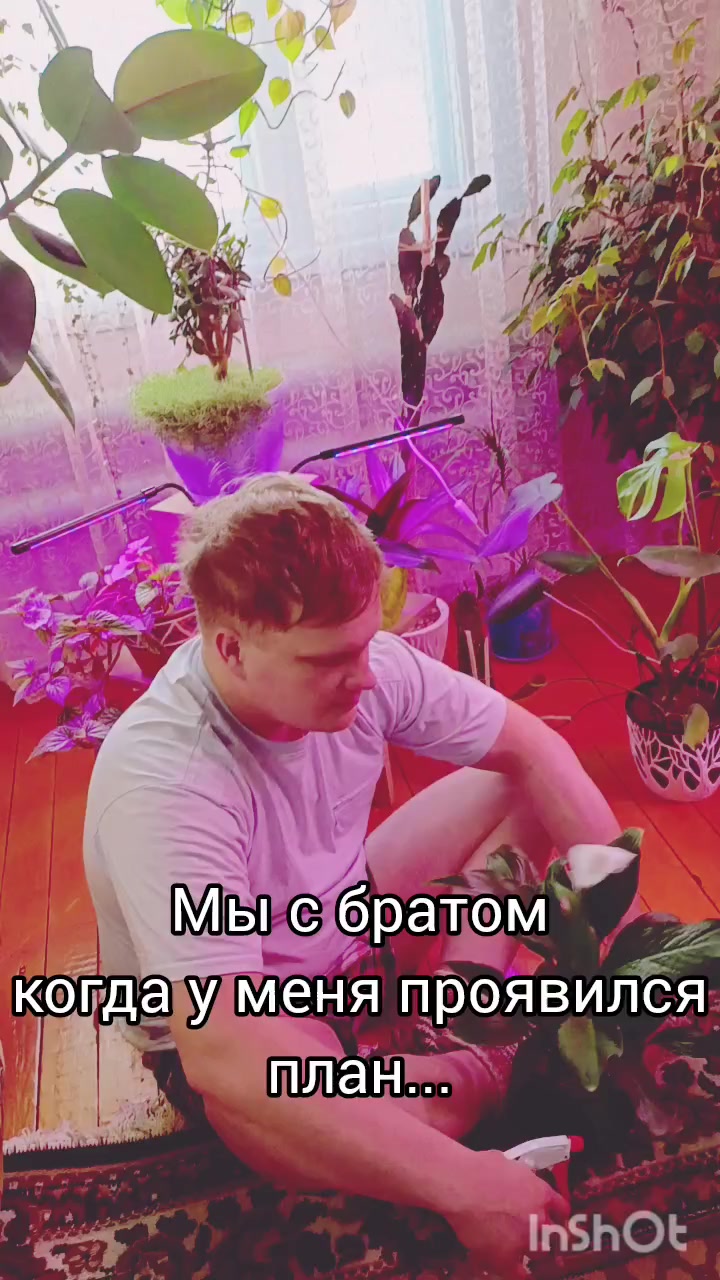 @Ромик Цветовод