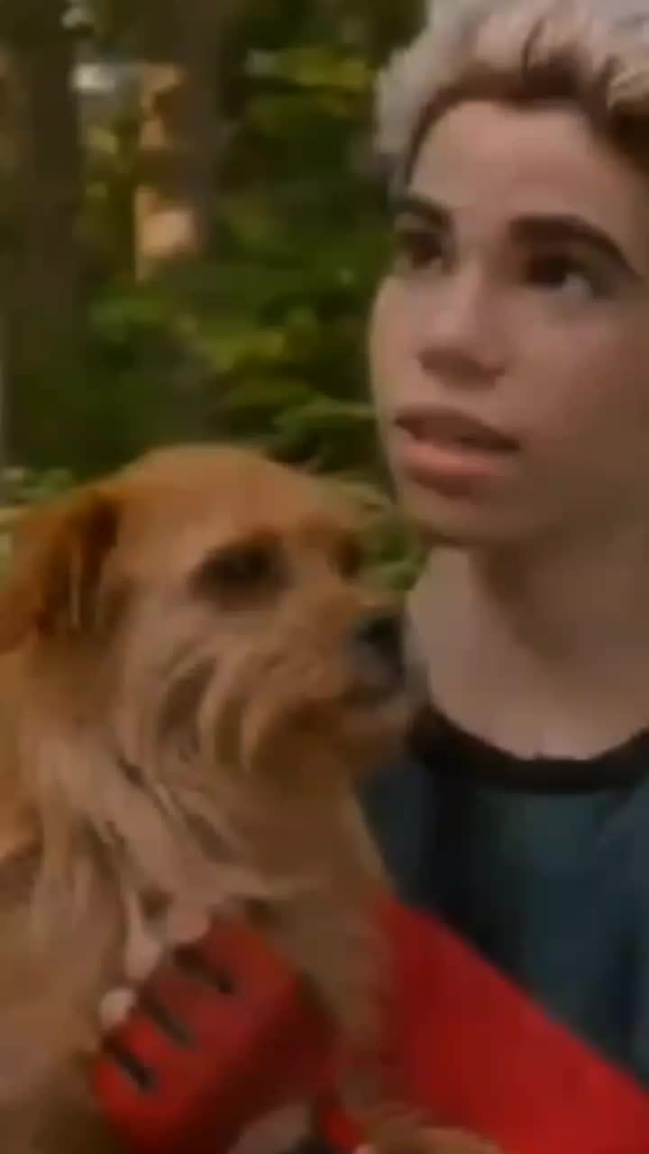 @𝑩𝒂𝒃𝒚𝑾𝒐𝒍𝒇🐺🥀