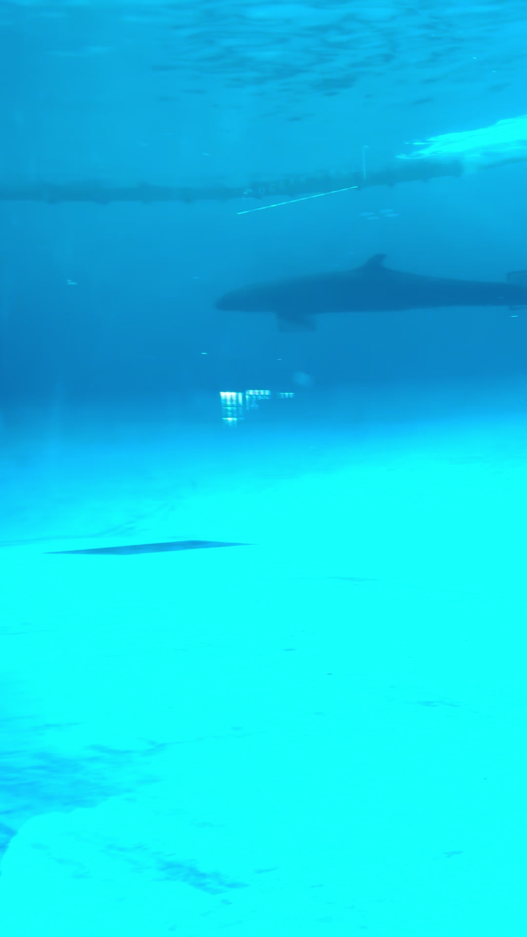 @新潟のはるひ