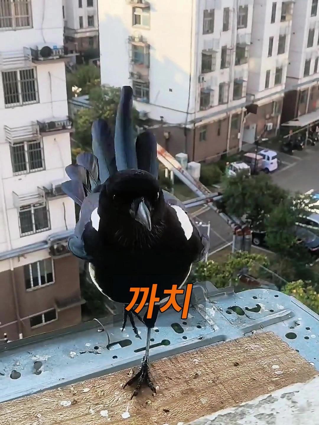 @삼촌Cut2025