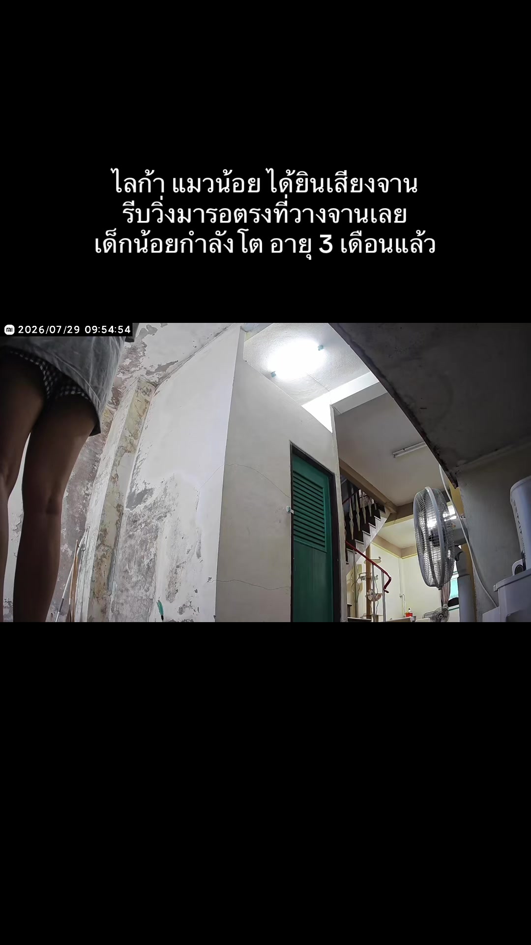 @บันทึกน้องนง