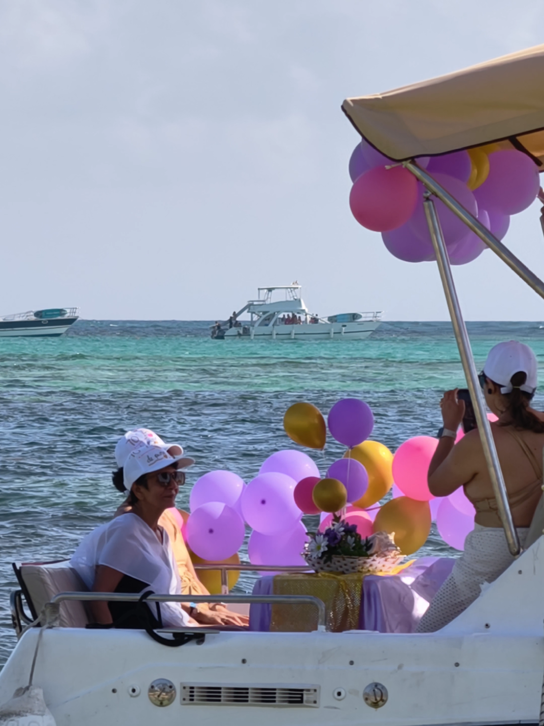 @Liliia Valova Liva Boat