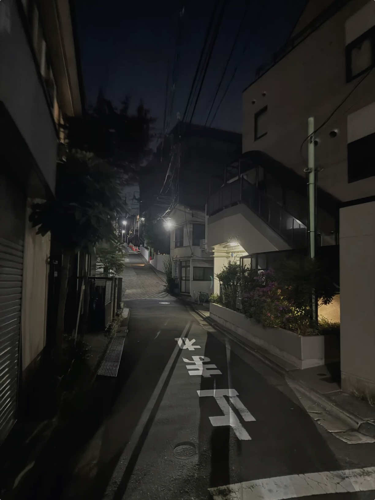 @۶ৎ 🦢🤍 𝐁𝐞𝐨𝐦𝐬𝐞𝐨𝐤 🩶🦢