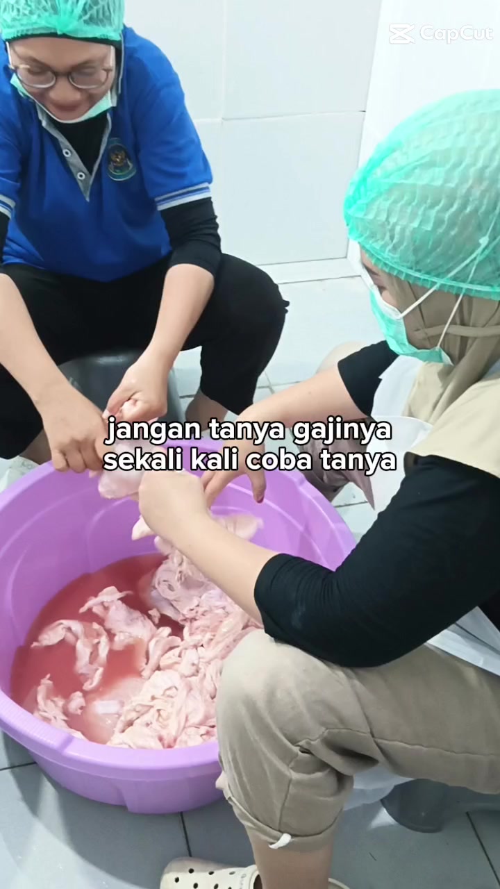 @nofitriasari