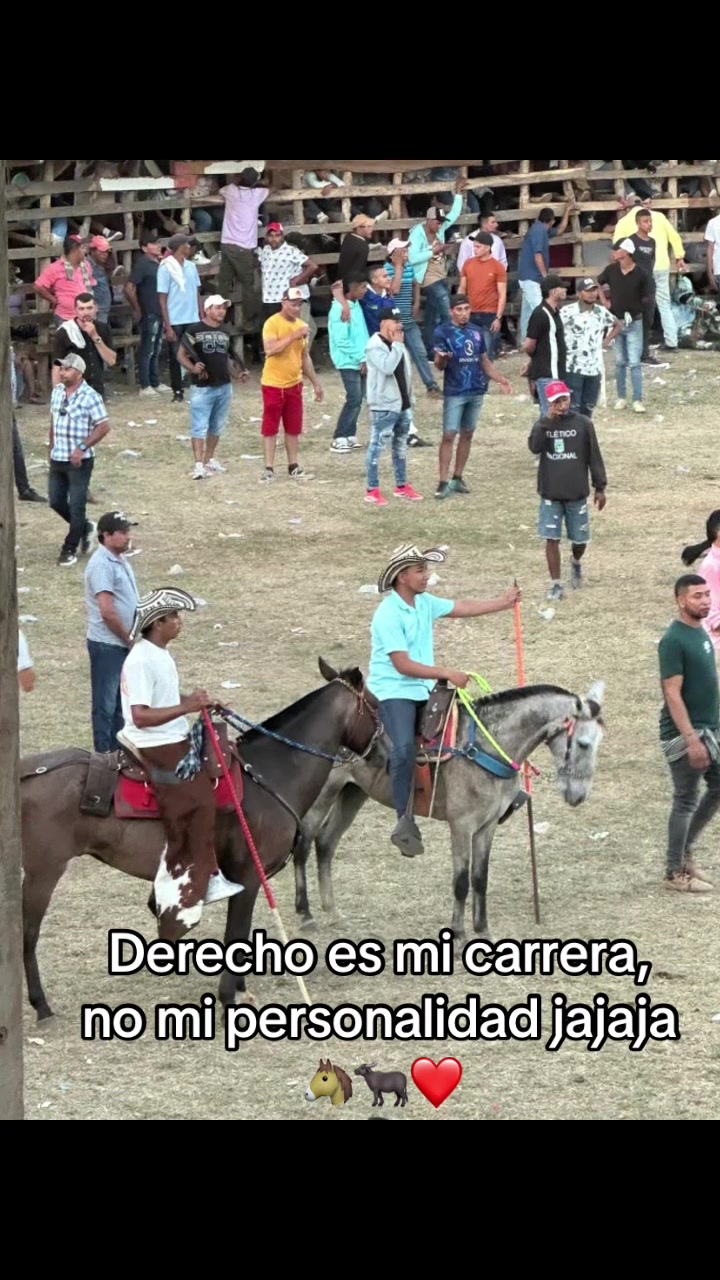 @jjulianbello