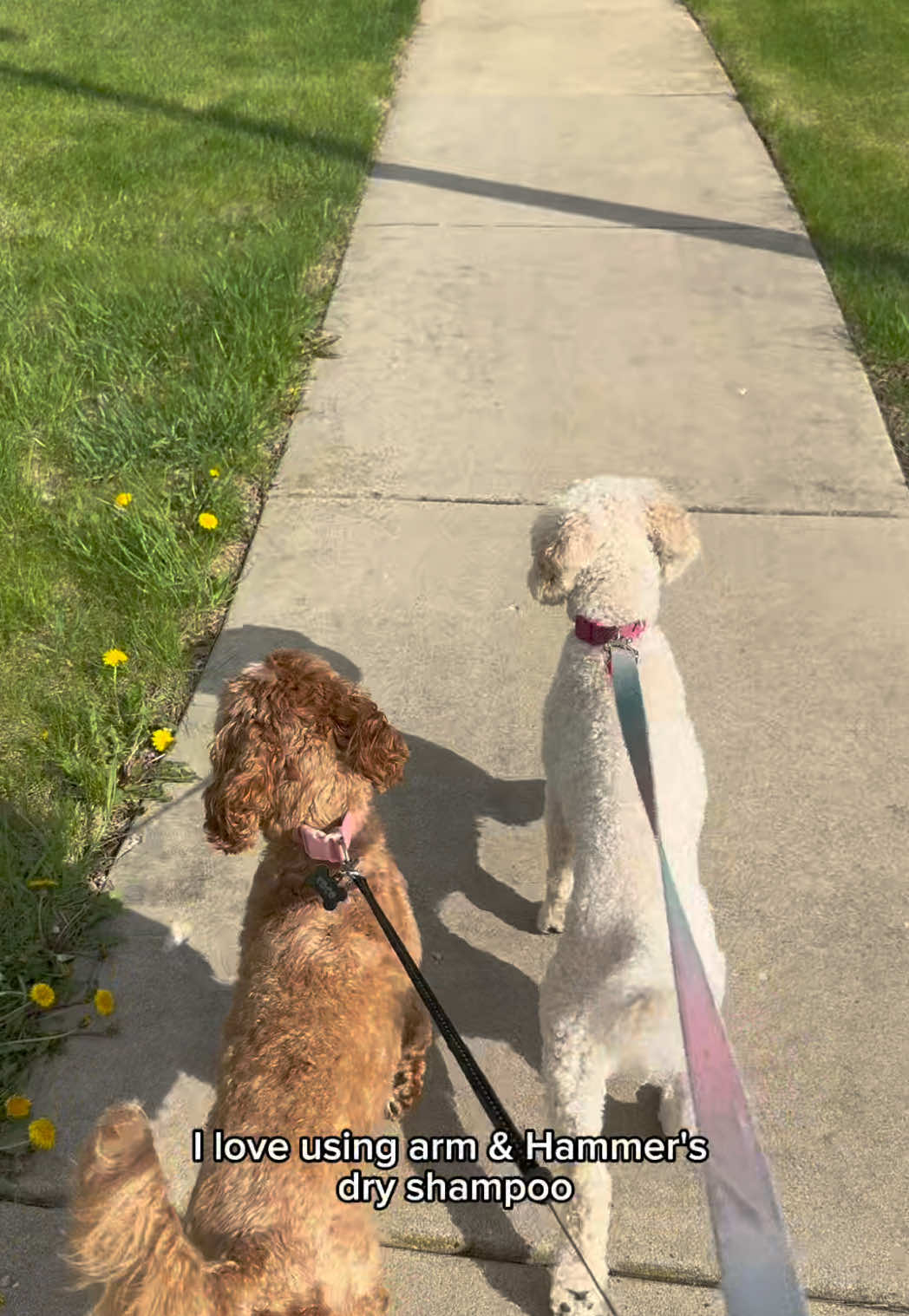 @D e l i s h a ♡