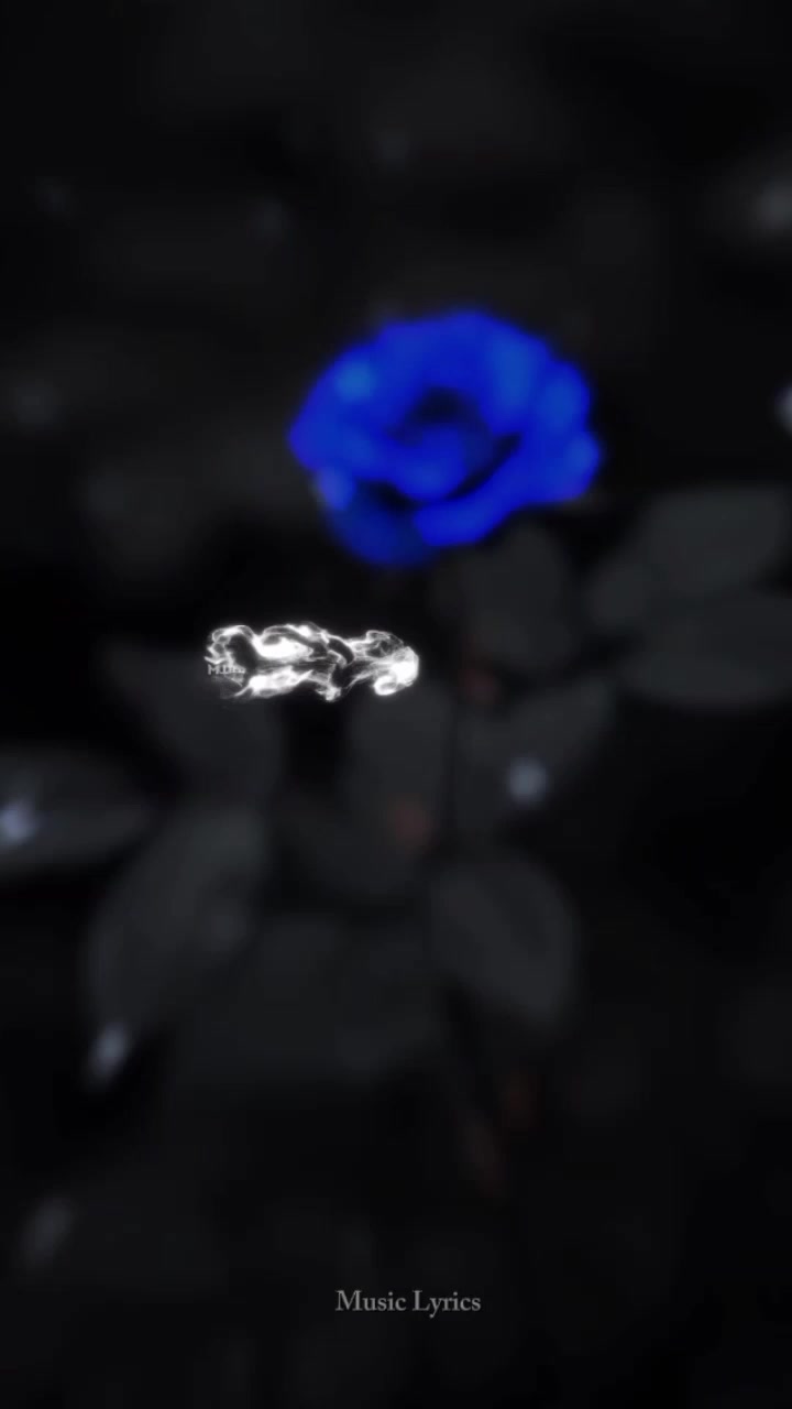 @ᴍᴜꜱɪᴄ ʟʏʀɪᴄꜱ