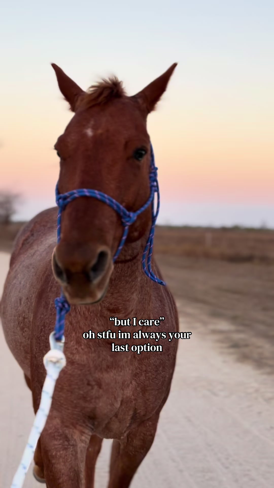 @𝐋𝐢𝐥𝐲 𝐋𝐨𝐰𝐢𝐬