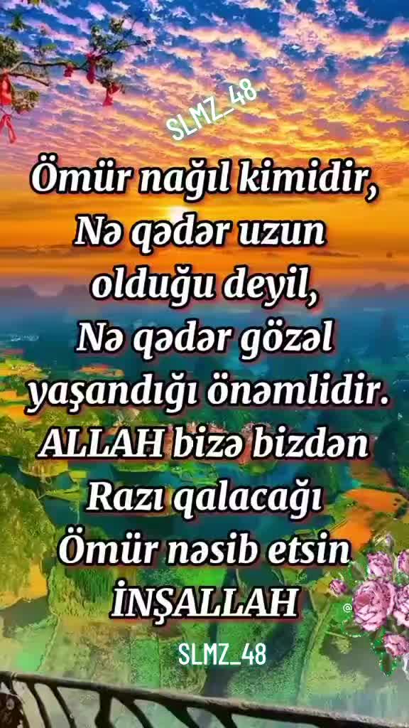 @♡S♡O♡L♡M♡A♡Z♡