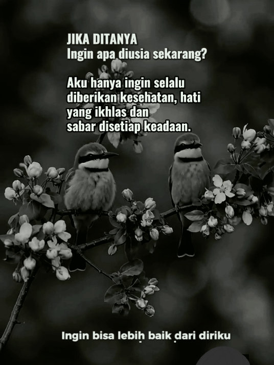 @Inisial WM