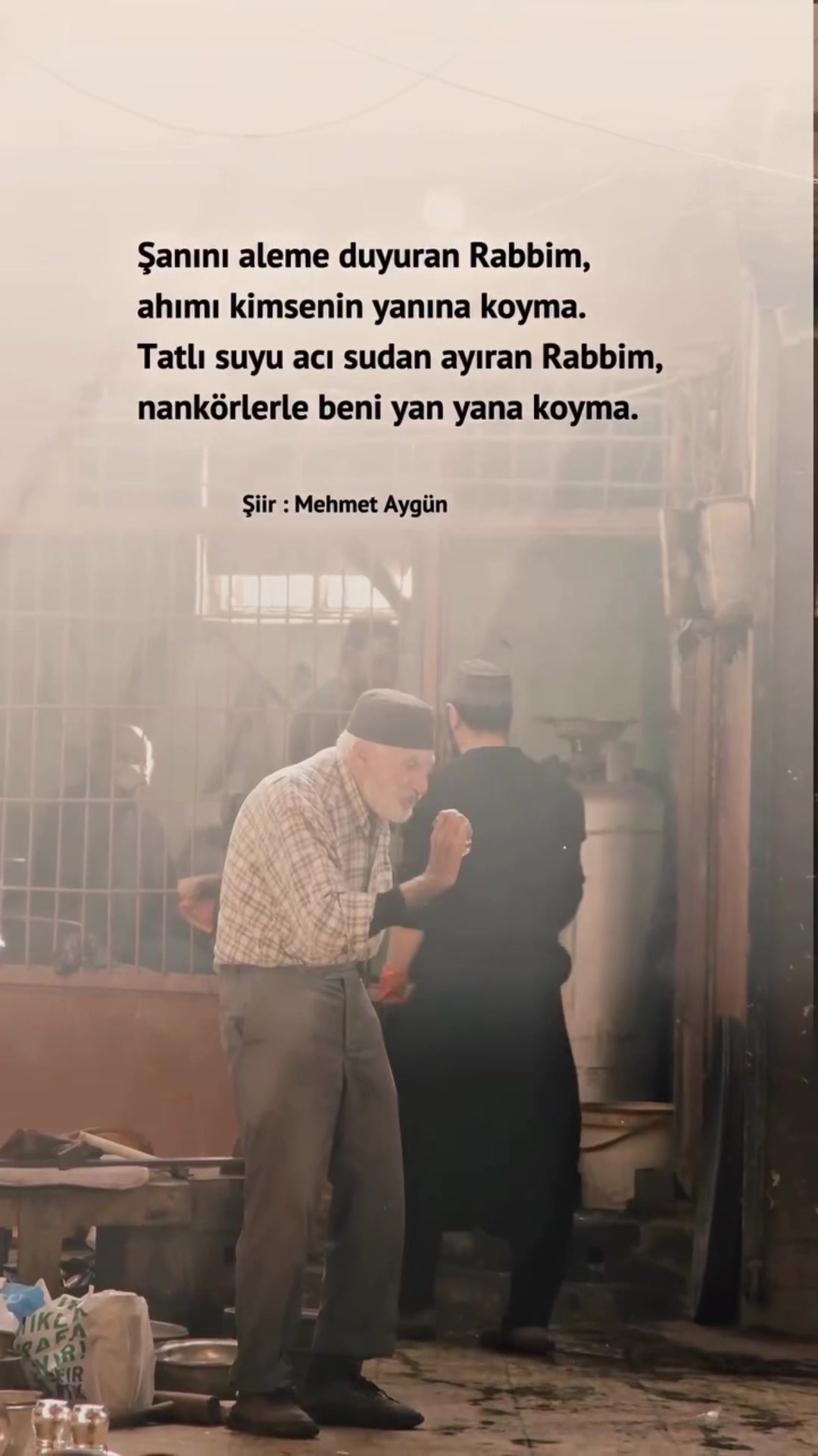 @Mehmet Aygün