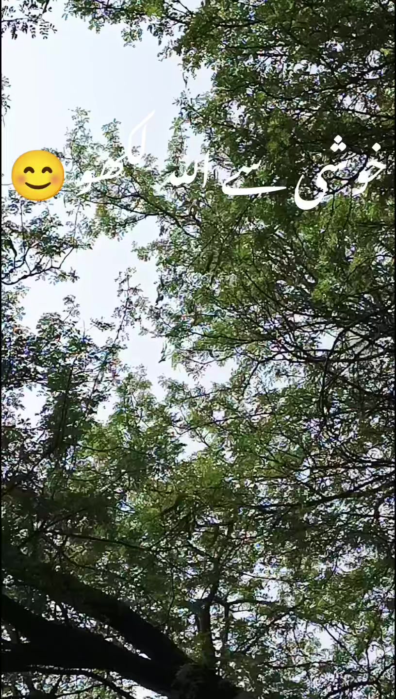 @ISLAMIC VIDEOS✅