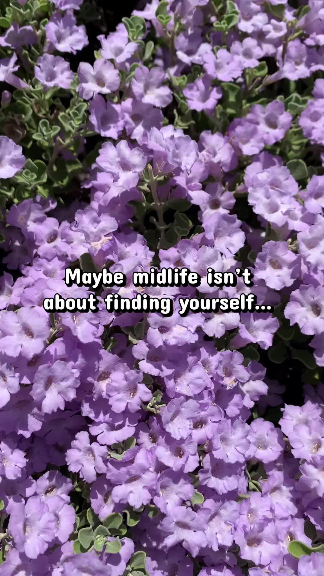 @✨Midlife with Dawn✨