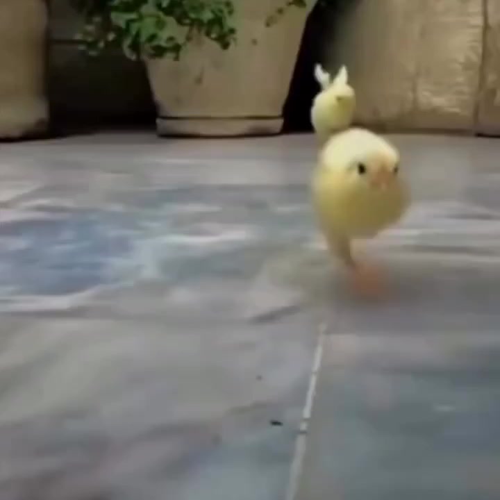 @tuffchickenburger