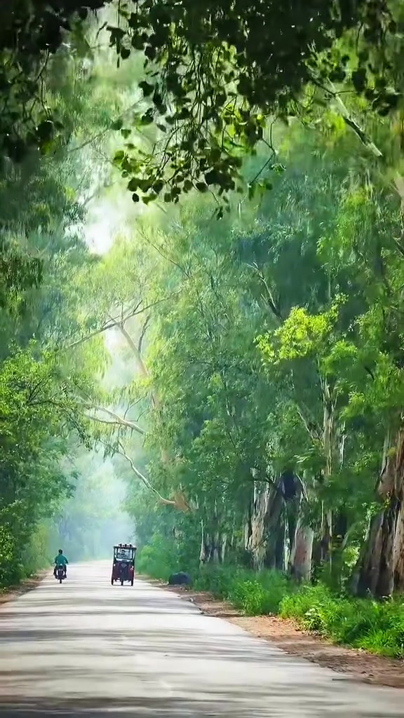 @𝕍𝕀ℝ𝔻𝕀¹²¹8❤️🥀