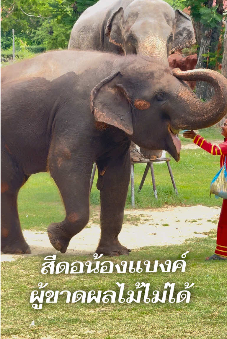 @หญิง ธิติกานต์ Official