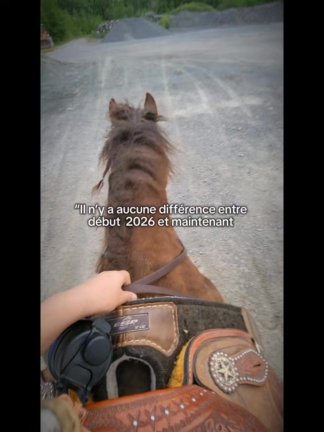 @🤠Rox🐴