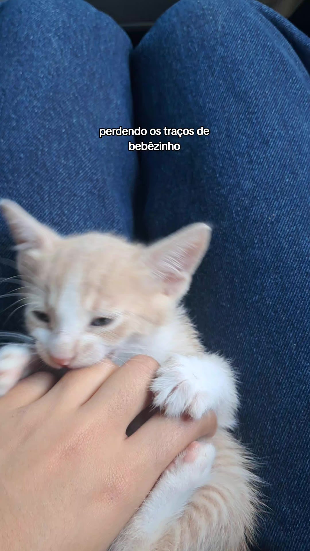 @MARIA