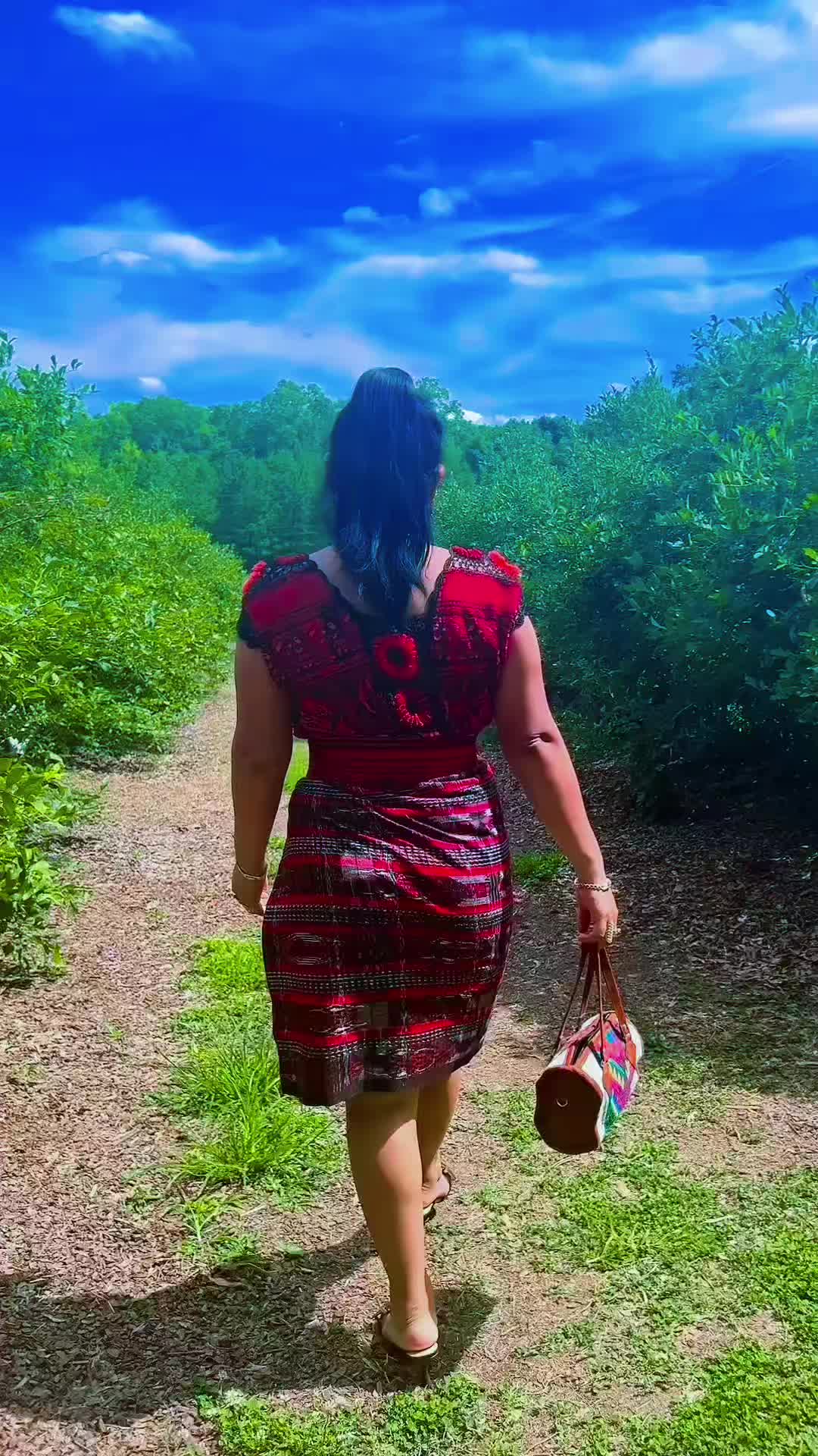 @jaimealvarez4217
