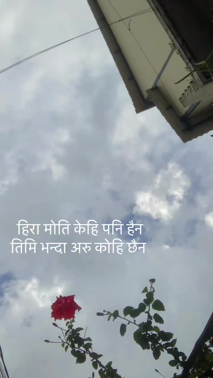 @shankar official