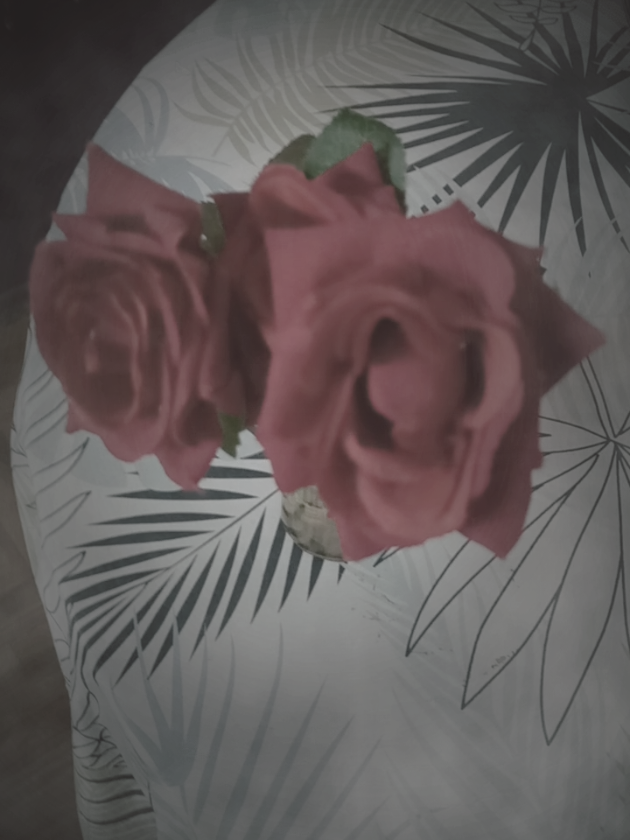@सायरा 💕 धनु