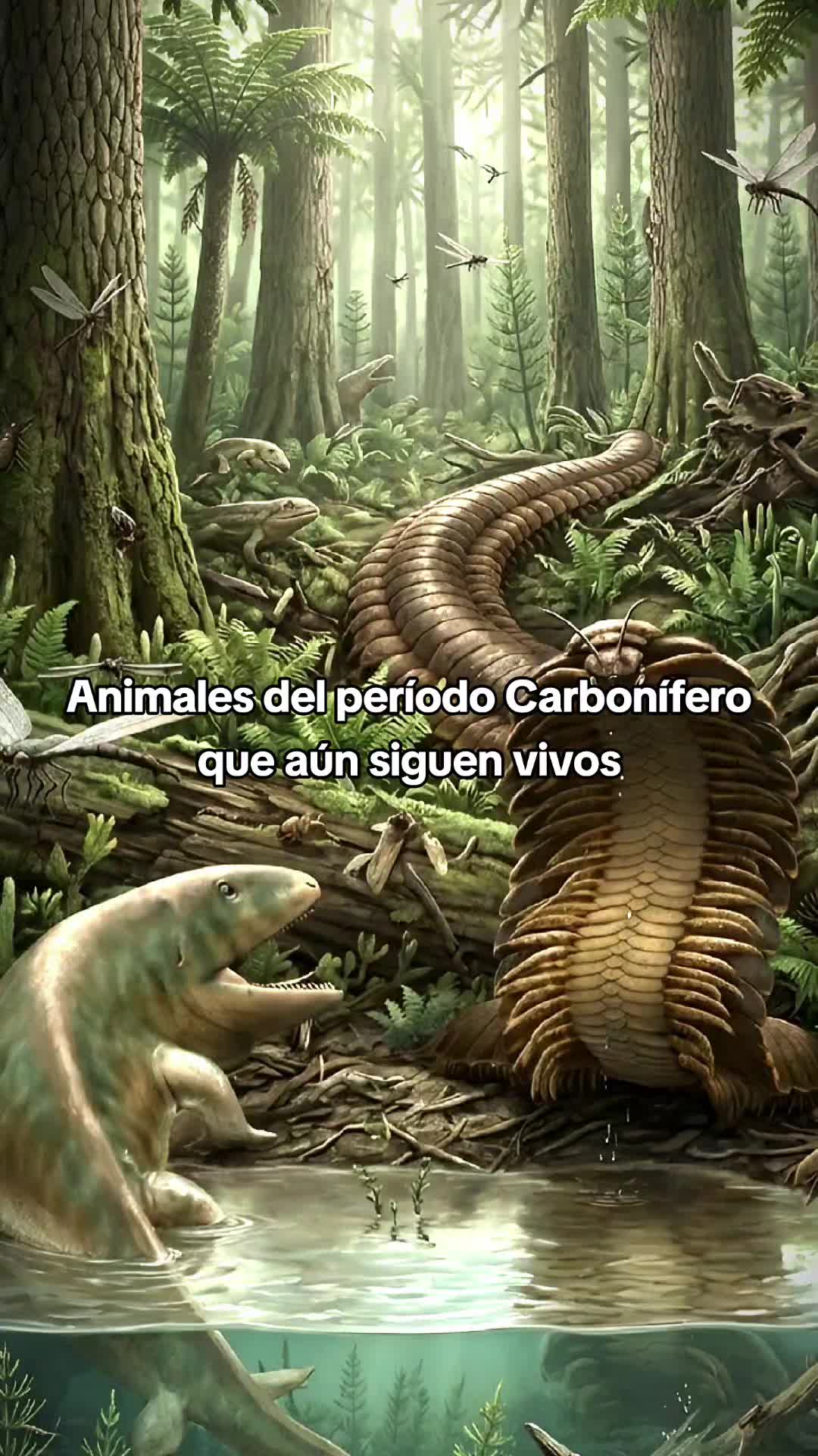 @Viva Historia