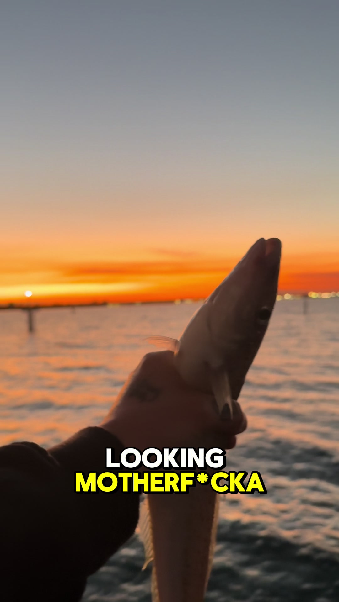 @TheRiverWarden