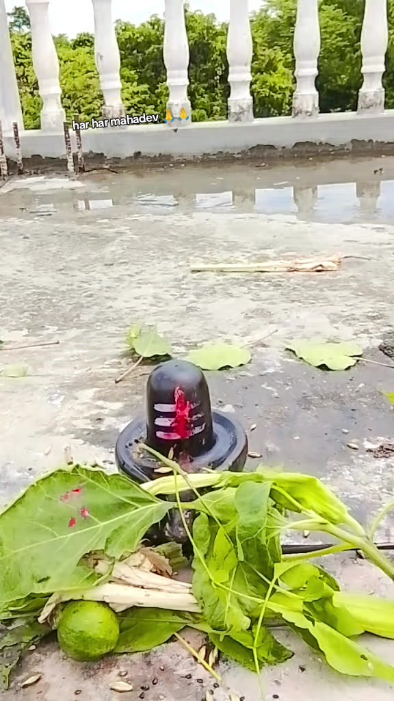 @Niruta