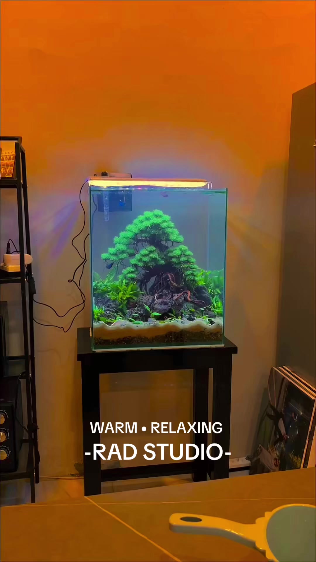 @Rawalumbu Aquatic Design