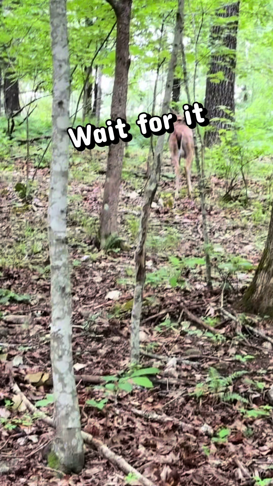 @Brownhikingtrails