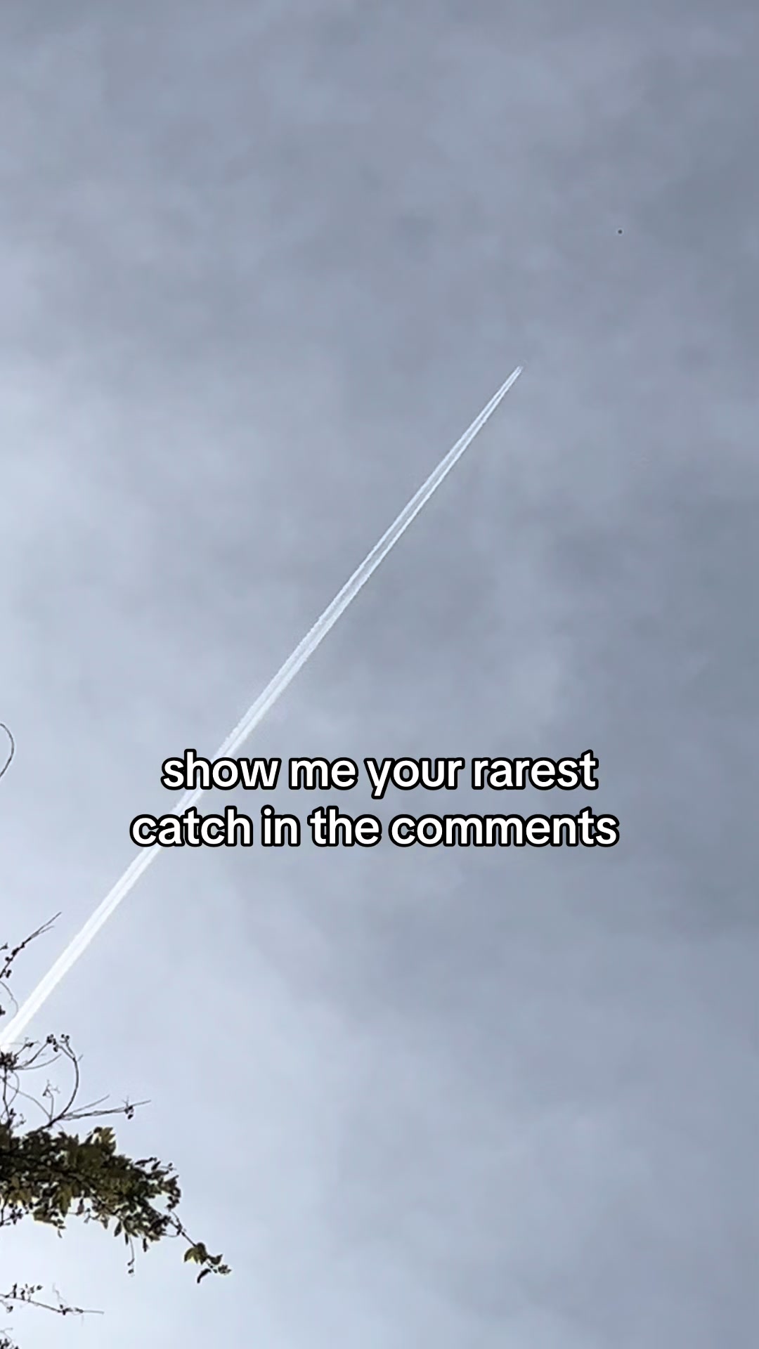 @ 