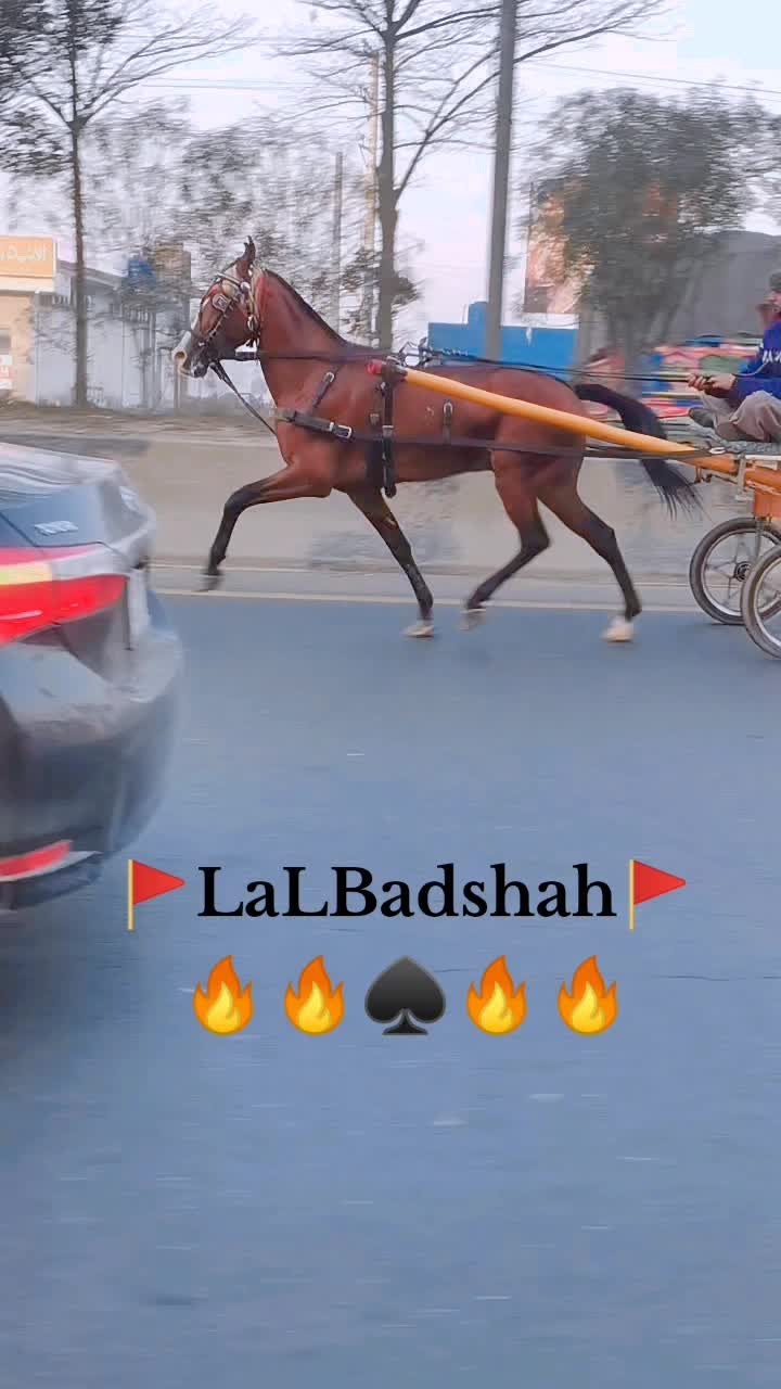 @Badshah-Gujjar
