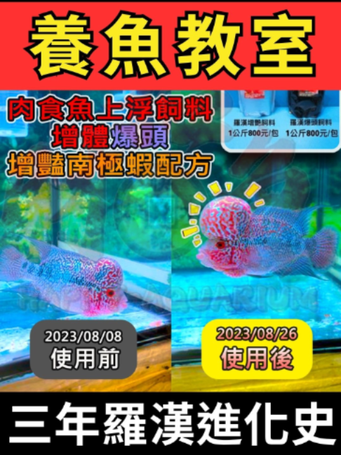 @招財魚水族館