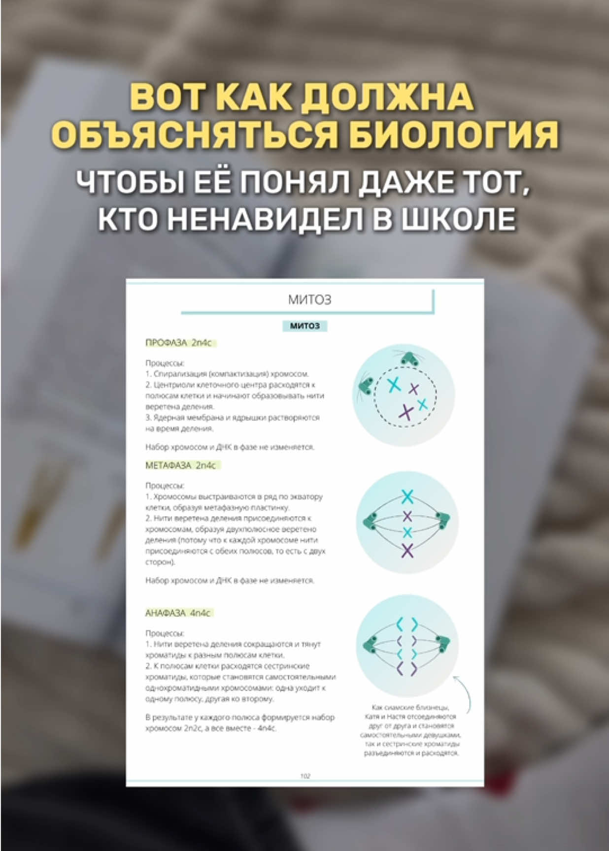 @Алёна Бриз
