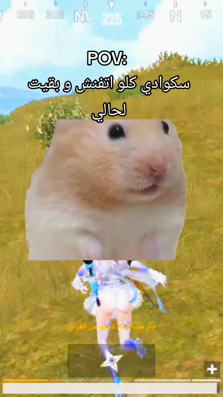 @👑𝑸𝒖𝒆𝒆𝒏👑🩷🦋 عـبـيـر