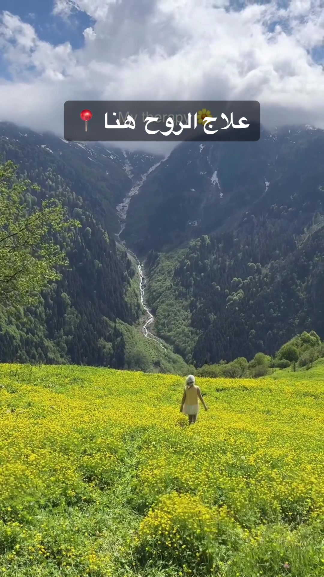 @شركة بالميريا🐫 للسياحة 📸 ✈️