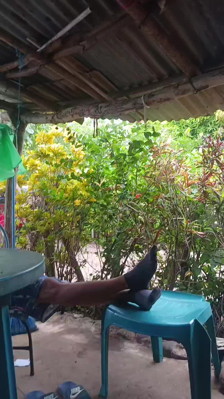 @๐ญ๐_๐ฏ๐๐๐๐๐ฆฆ