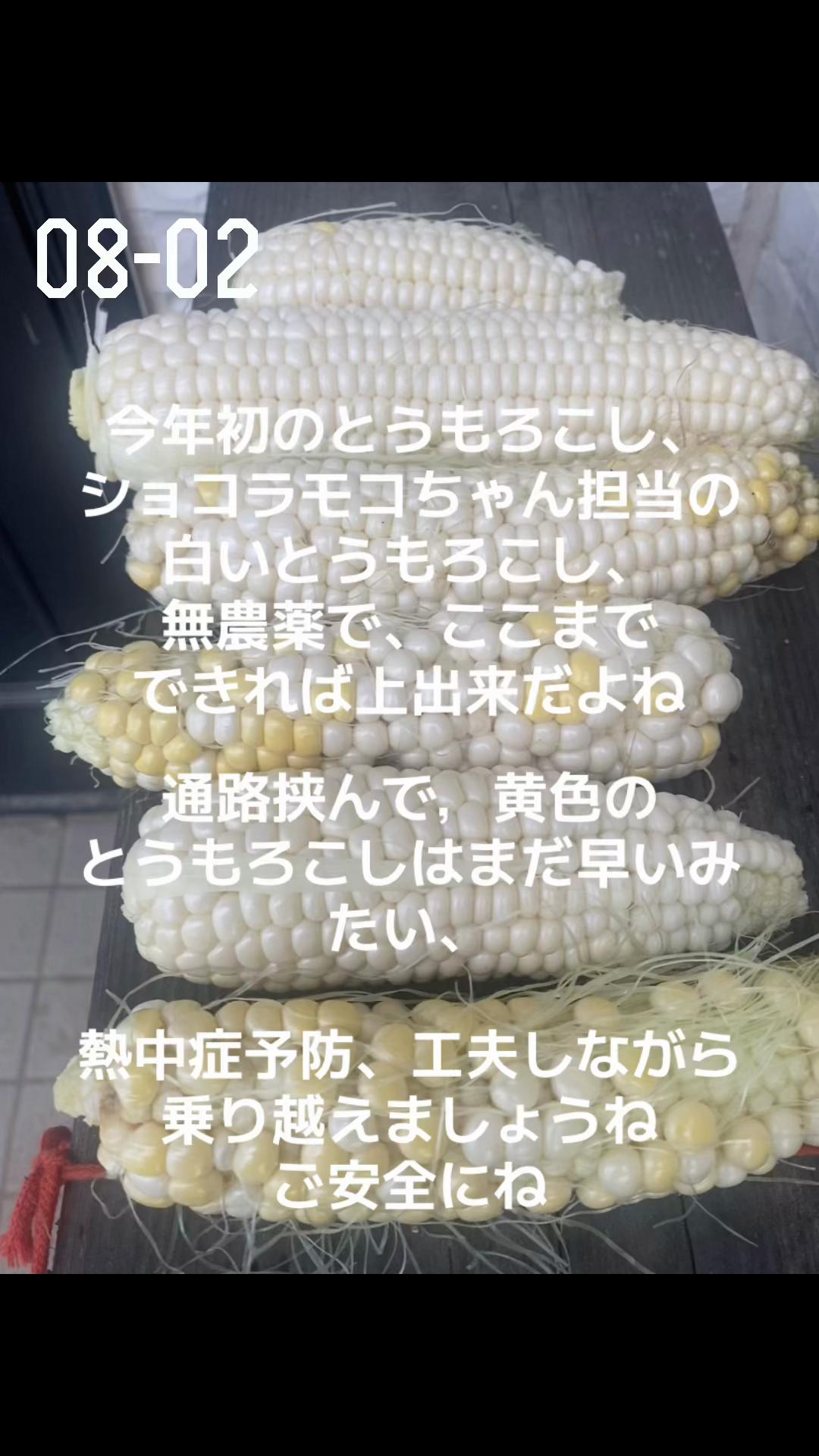 @かずーちょ298