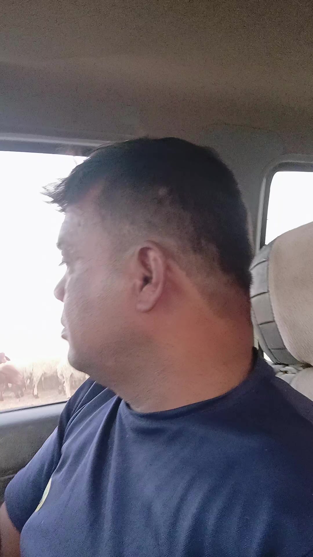 @dilipkumarmehta