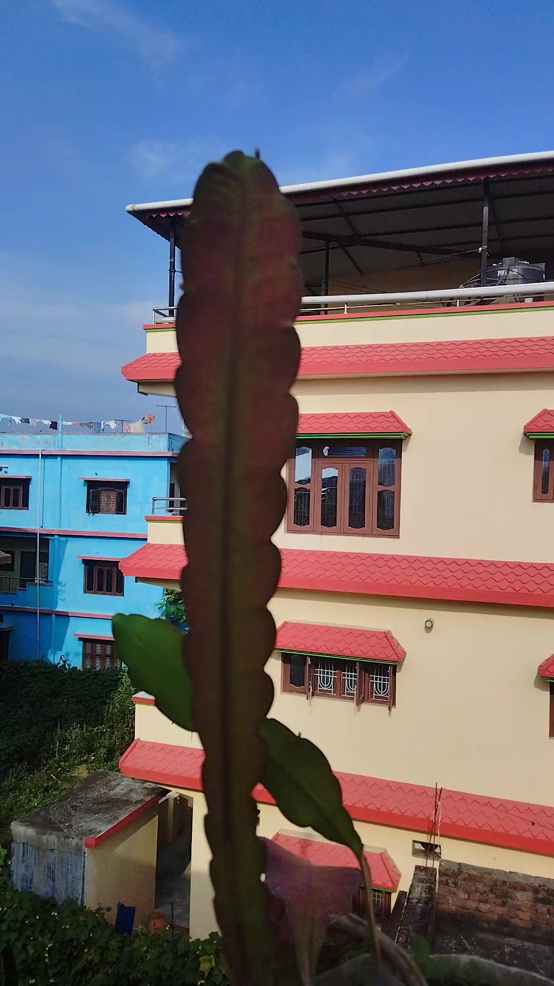 @rama karki