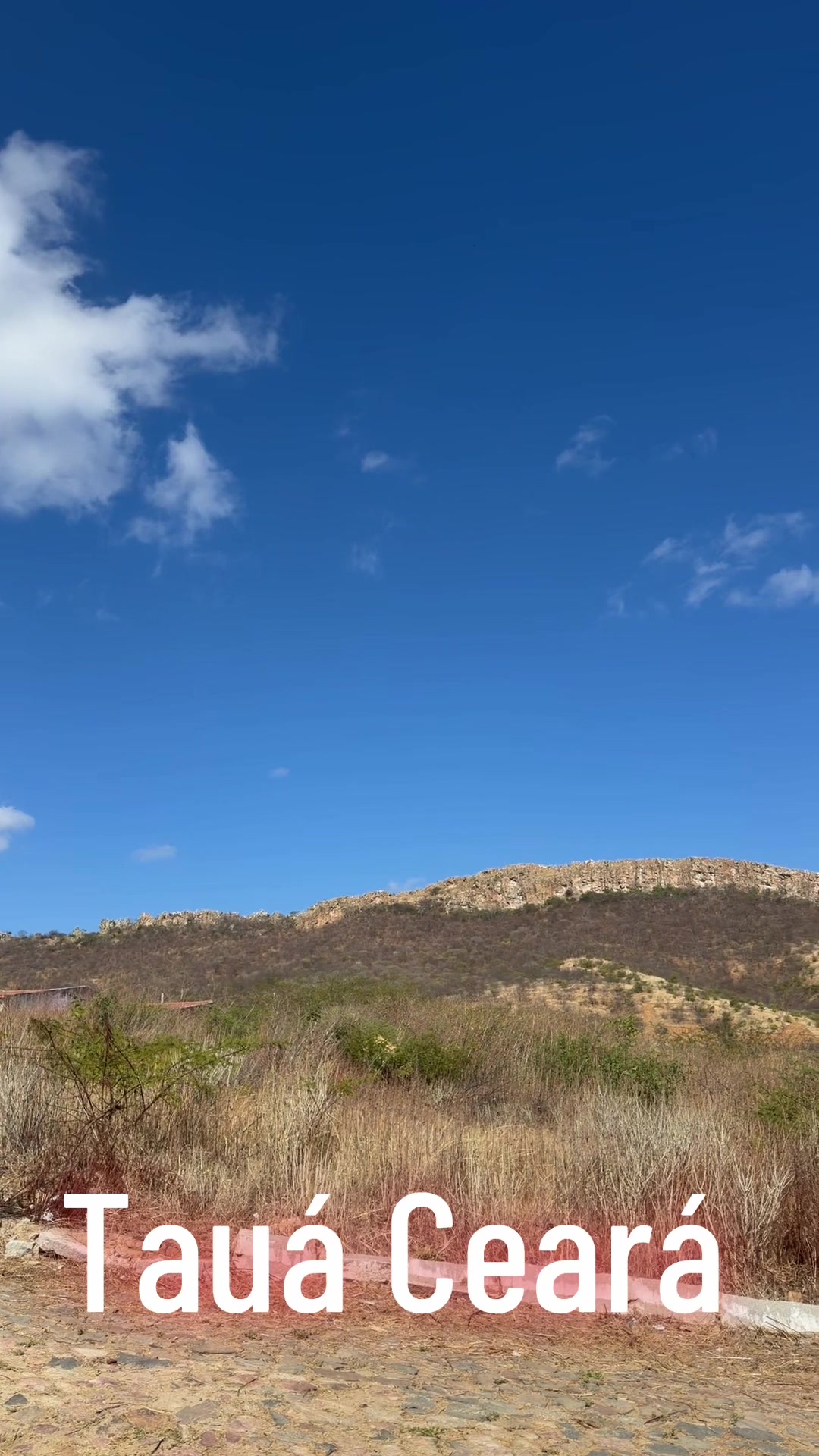 @Wellton