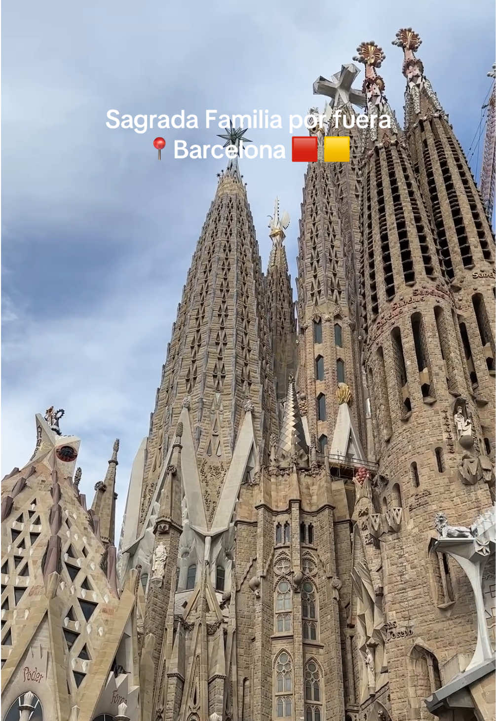 @vivii.tudela
