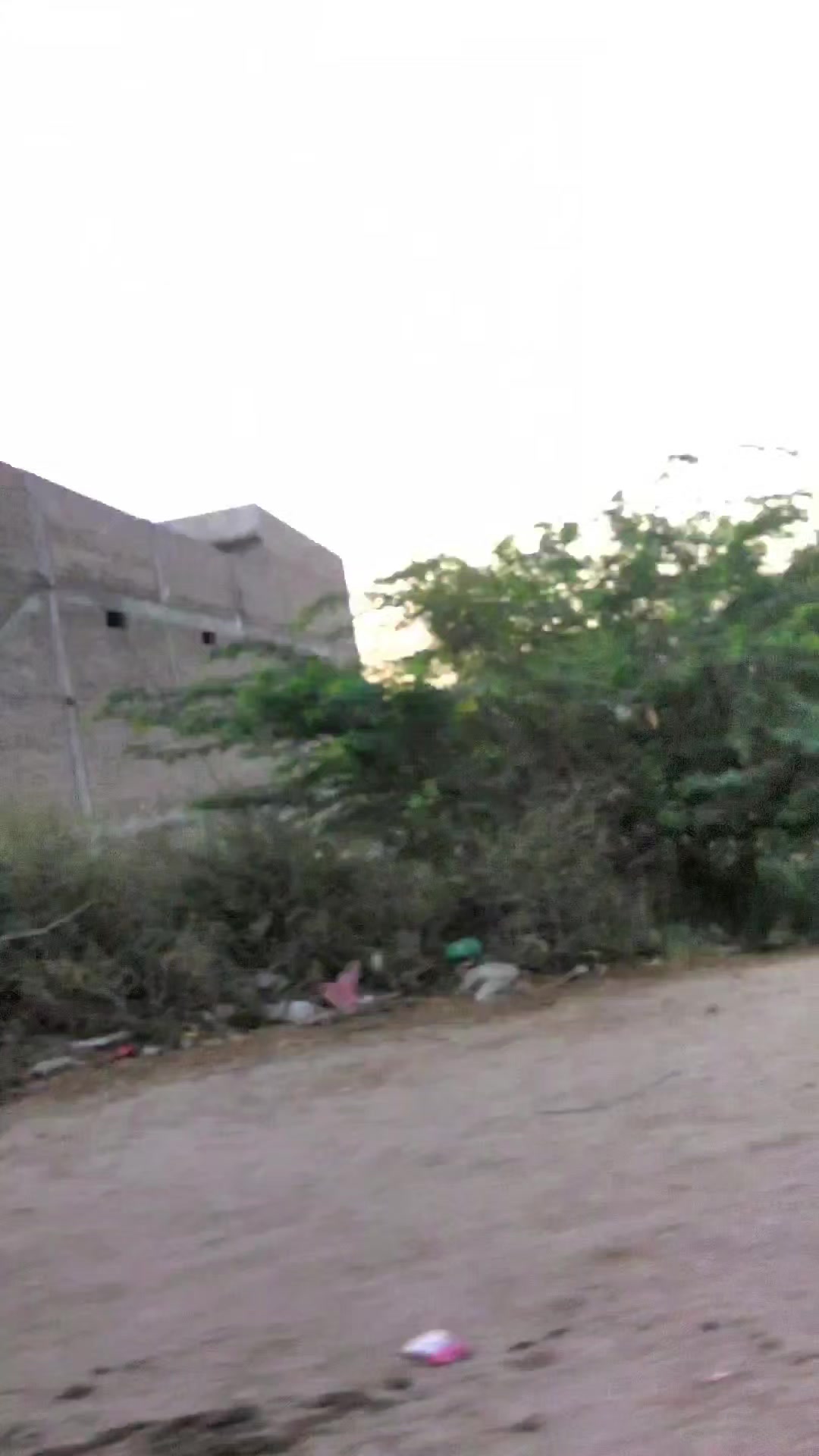 @ڀان جي شهزادي